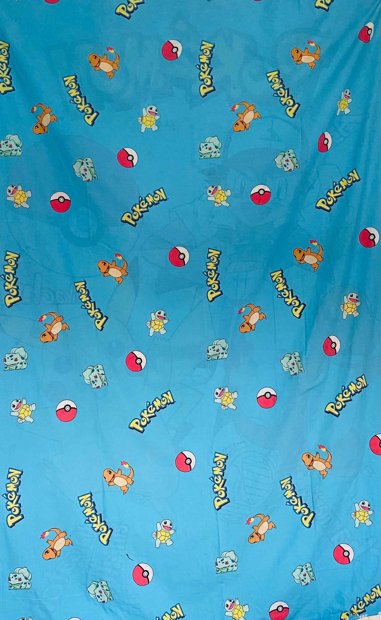 Pokemon Made to Measure