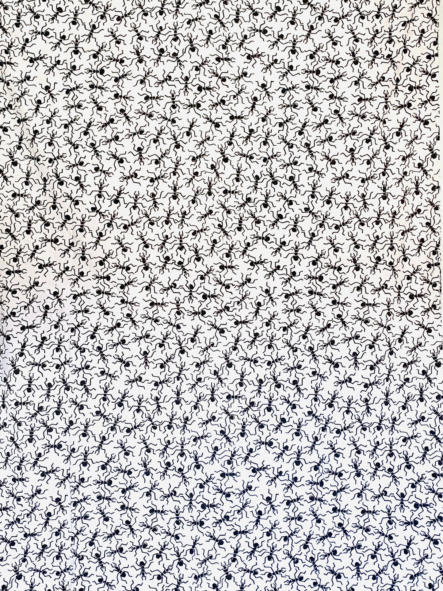 Ants Made to Measure