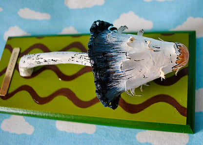 Shaggy Ink Cap