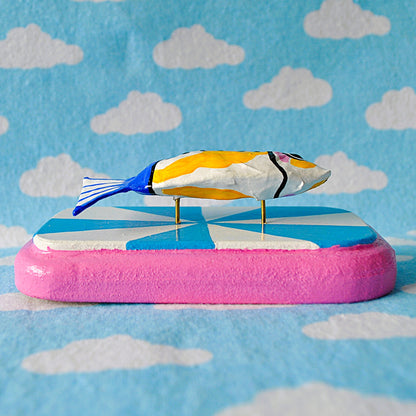 Sardine on blue and white