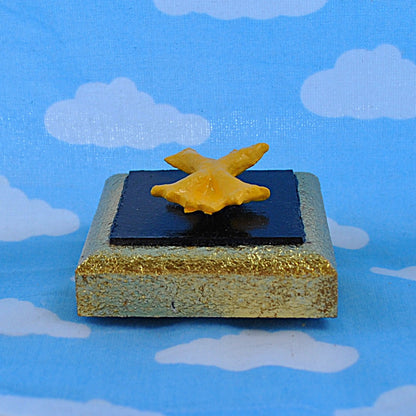 Tiny Pasta