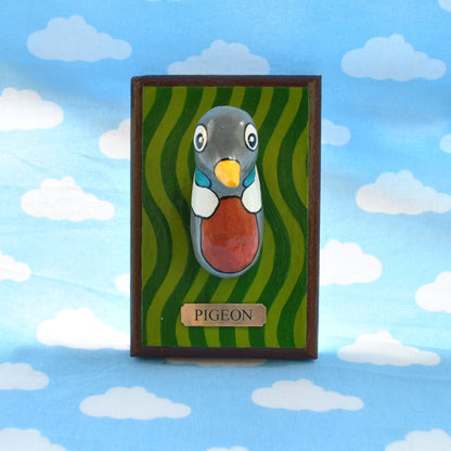 Pigeon