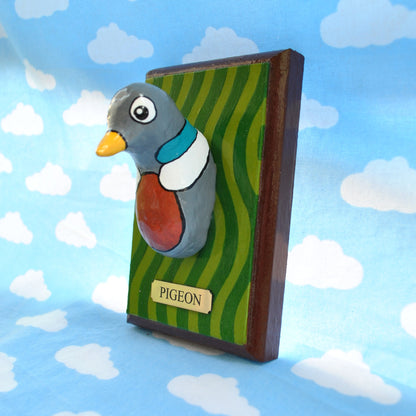 Pigeon