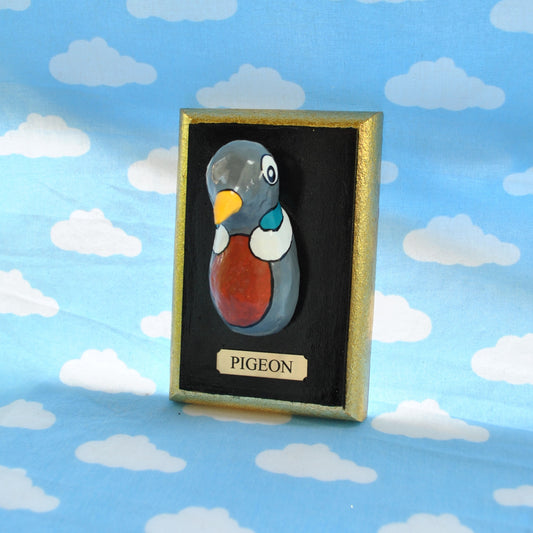 Pigeon
